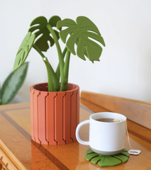 Monstera Coaster Set
