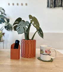 Monstera Coaster Set