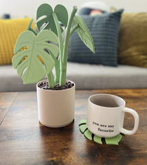 Monstera Coaster Set