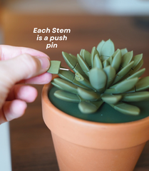 Push Pin Succulent