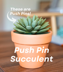 Push Pin Succulent