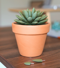 Push Pin Succulent